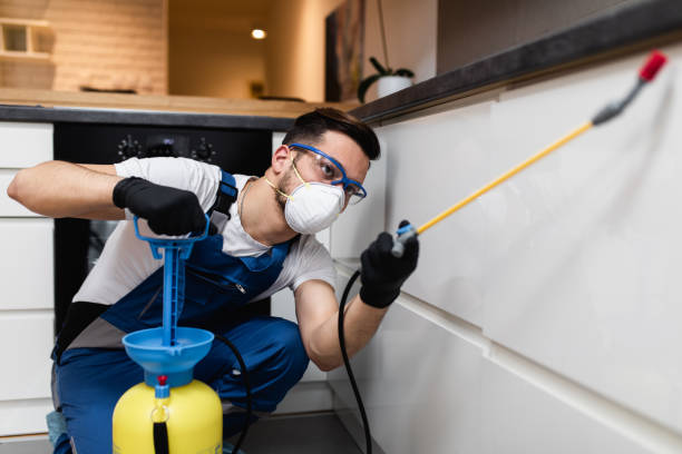 Best Ant Control Services  in Waldpt, OR