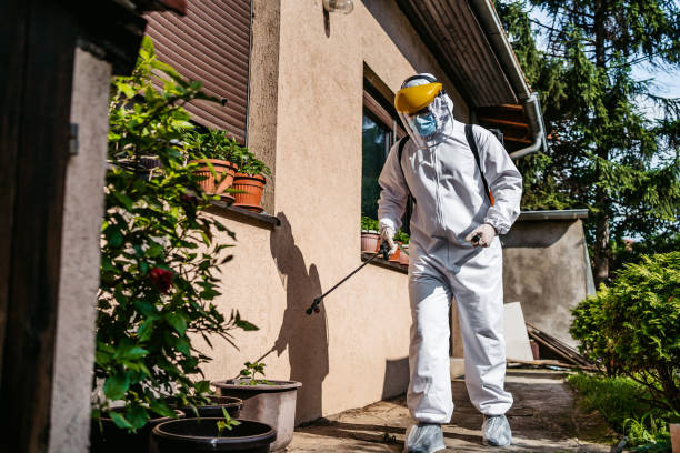 Best Pest Prevention Services  in Waldpt, OR