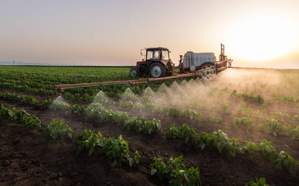 Best Mosquito Control Services  in Waldpt, OR