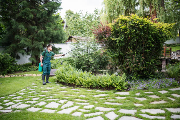 Best Residential Pest Control  in Waldpt, OR