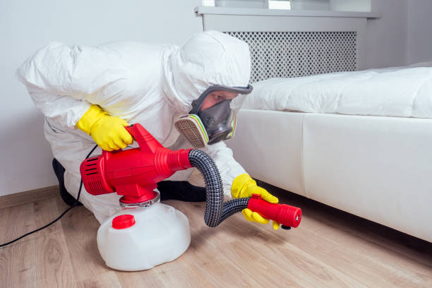 Professional Pest Control in Waldport, OR