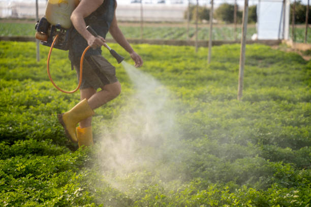 Best Wildlife Control Services  in Waldpt, OR