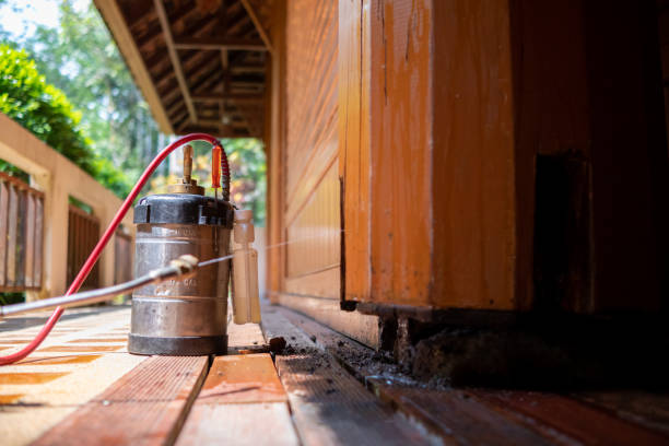 Best Wasp Removal Services  in Waldpt, OR