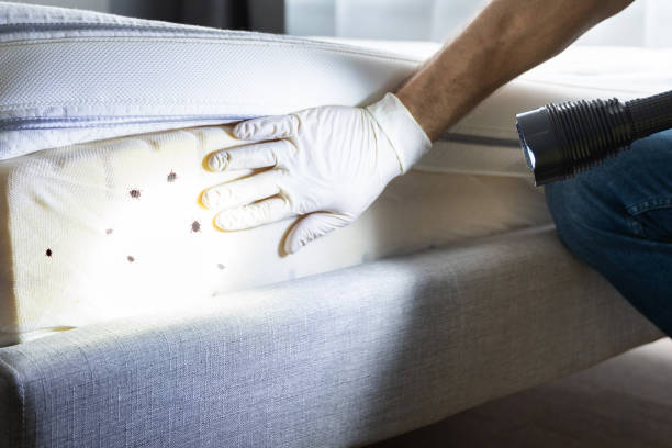 Trusted Waldport, OR Pest Control Experts