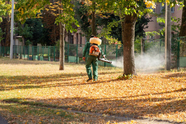 Best Best Pest Control Companies  in Waldpt, OR
