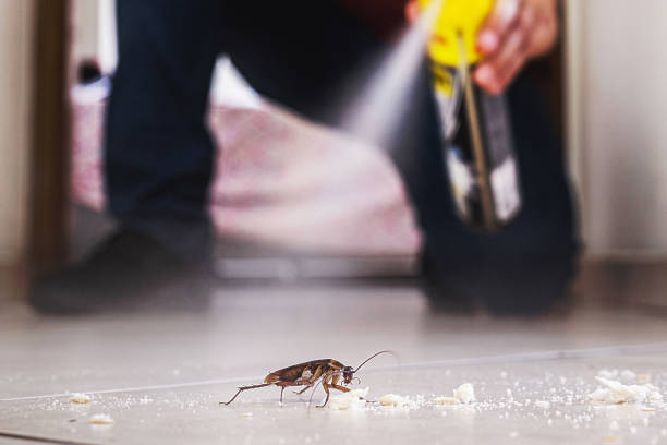 Best Best Pest Control Companies  in Waldpt, OR