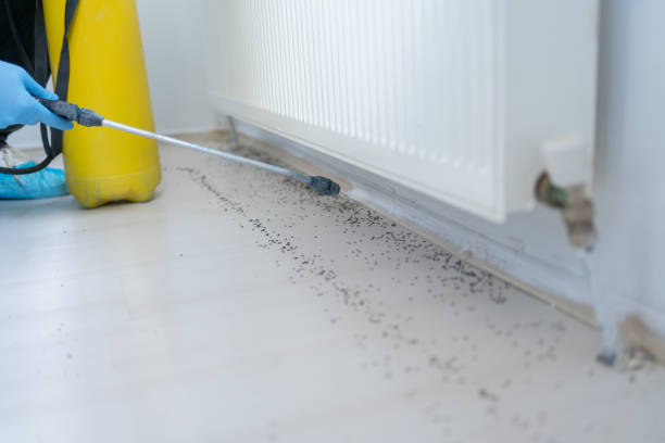 Best Pest Control Near Me  in Waldpt, OR
