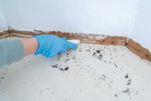 Best Residential Pest Control  in Waldpt, OR