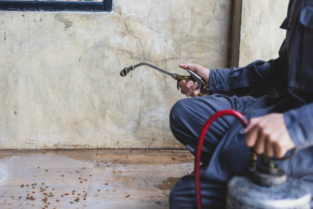 Pest Prevention Services in Waldport, OR